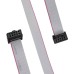 10 pin IDC Female to Female Cable