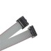 10 pin IDC Female to Female Cable