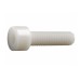 Nylon Socket Head Cap Screw SHCS Nylon Socket Head Cap Screw SHCS