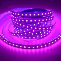 Purple 2835 LED Light Strip 5M 12V
