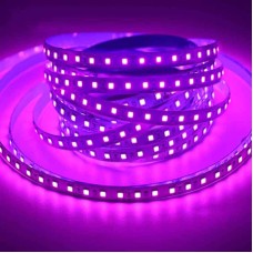 Purple 2835 LED Light Strip 1M 12V