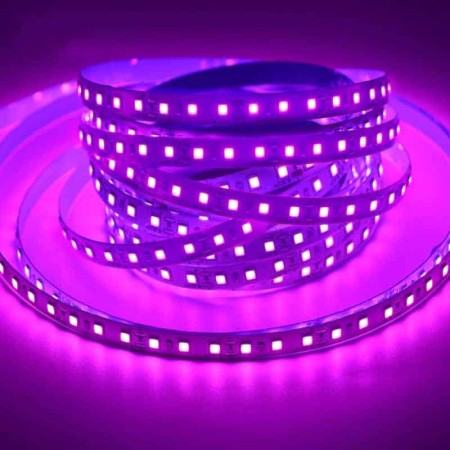 Purple 2835 LED Light Strip 1M 12V