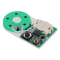 25 Second Recording Module