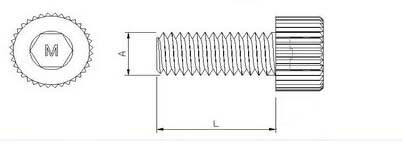 Nylon Allen Head Hexagon Socket Head Cap Screw